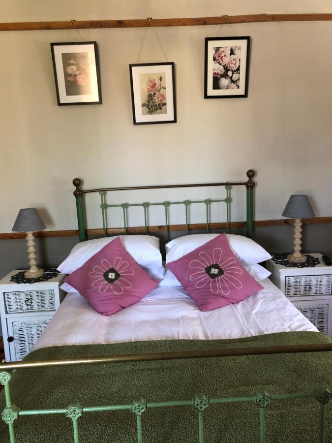 Apple And Rose Bed & Breakfast Belfast Exterior photo