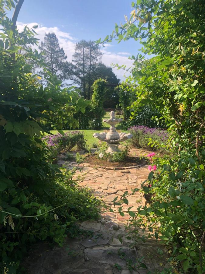 Apple And Rose Bed & Breakfast Belfast Exterior photo