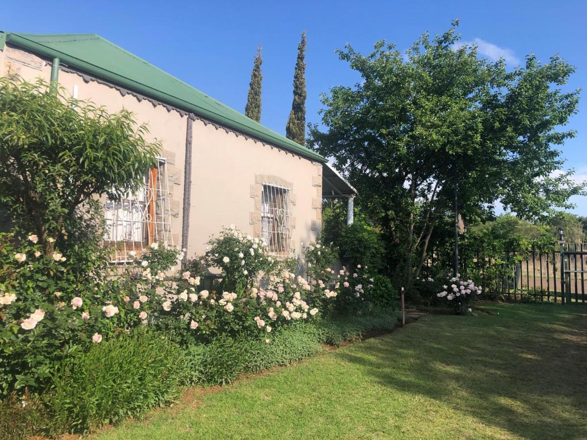 Apple And Rose Bed & Breakfast Belfast Exterior photo